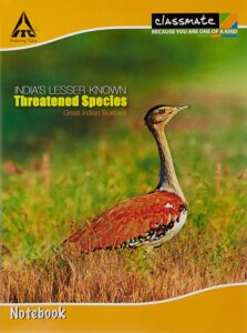 Classmate Notebook, 172 Pages, Four lines with gap